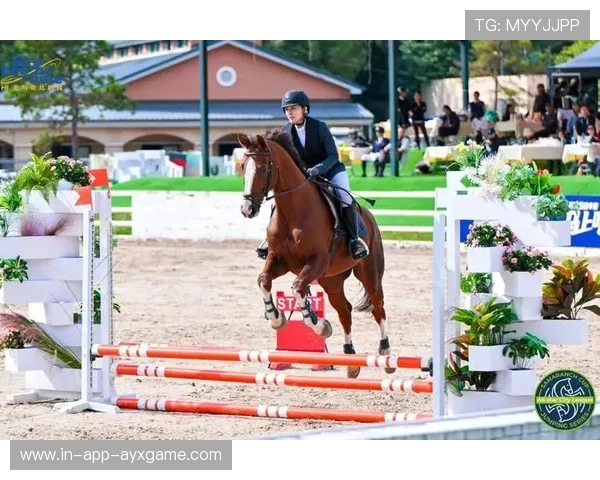 马术赛场明星选手转战国际赛,圈内热议不断 马术赛场明星选手转战国际赛,圈内热议不断
