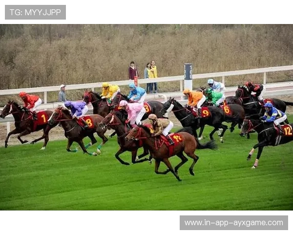 阿联酋传统骑马比赛盛大举行，阿联酋拍中国马屁