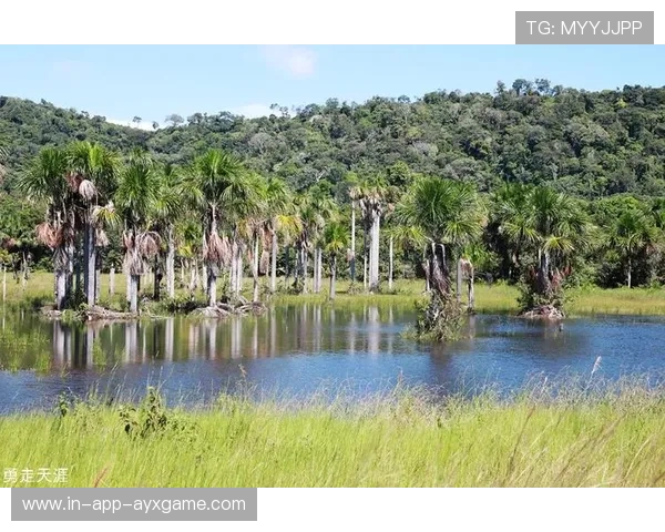 圭亚那国际户外运动体验日火热开启,圭亚那景点 圭亚那国际户外运动体验日火热开启,圭亚那景点