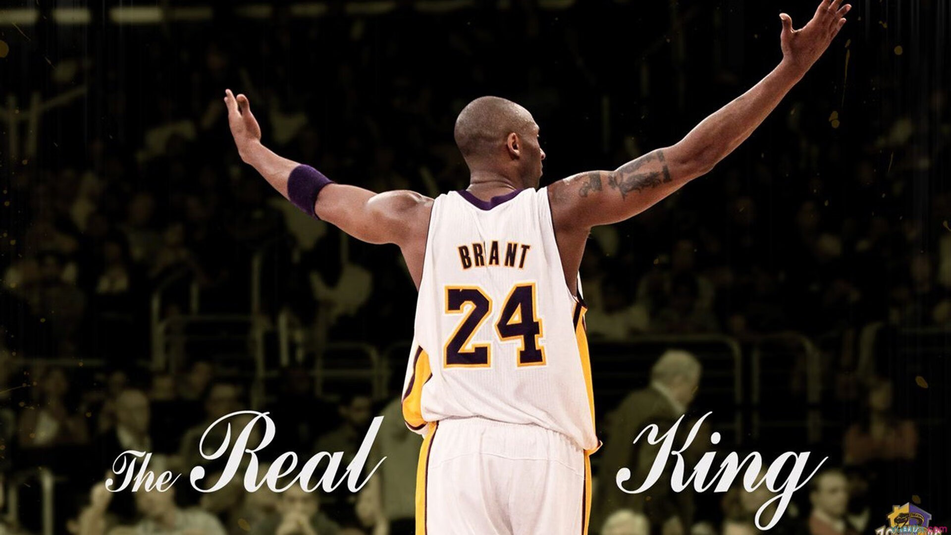 _湖人队迎来反弹，连胜在望_，看一下湖人队